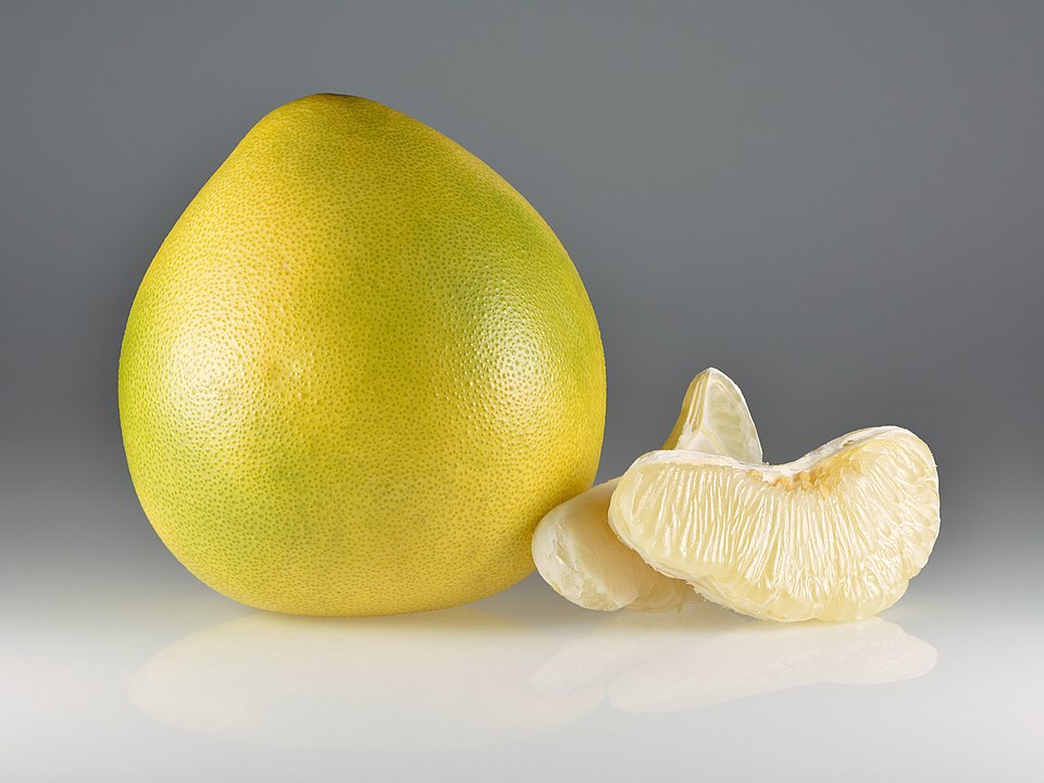 Pomelo plant in natural habitat - complete guide