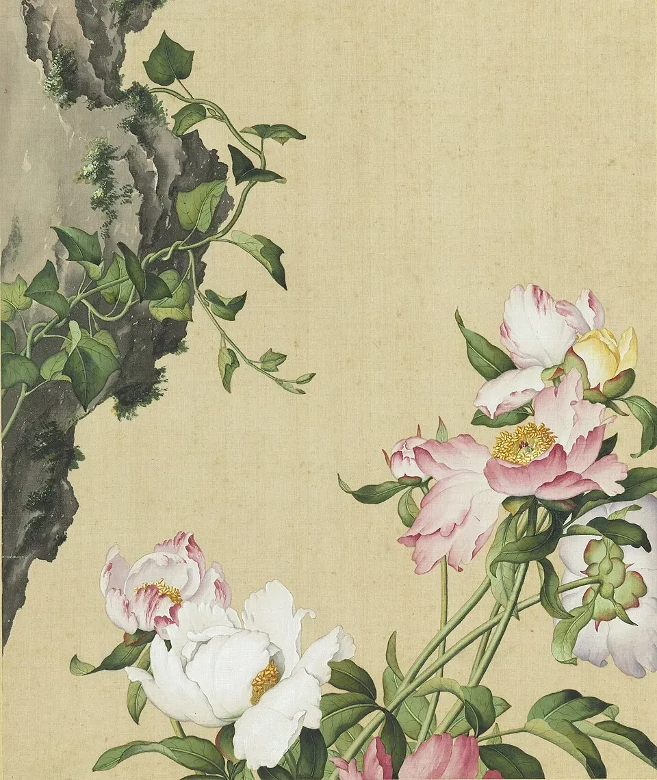 Bai Shao Leaf — botanical anatomy illustration