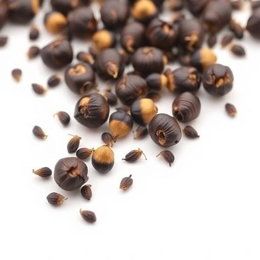 Bhringraj Seed — botanical anatomy illustration
