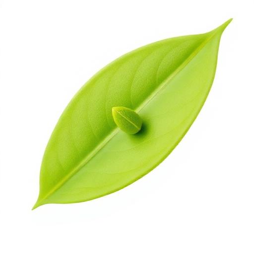 Punarnava Leaf — botanical anatomy illustration