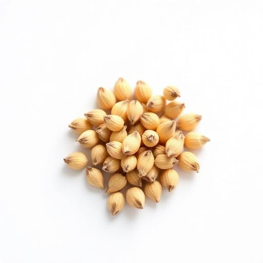 Punarnava Seed — botanical anatomy illustration