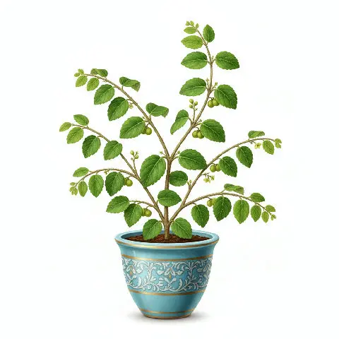 Bhui Amla plant in natural habitat - complete guide