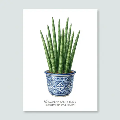 Sansevieria Cylindrica (Cylindrical Snake) plant in natural habitat - complete guide